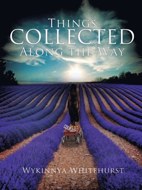Wykinnya Whitehurst - Things Collected Along the Way, E-bok