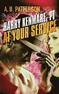 Harry Kenmare, PI - At Your Service