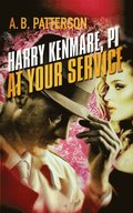 Harry Kenmare, PI - At Your Service