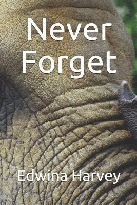 Edwina Harvey - Never Forget: a novelette, Häftad