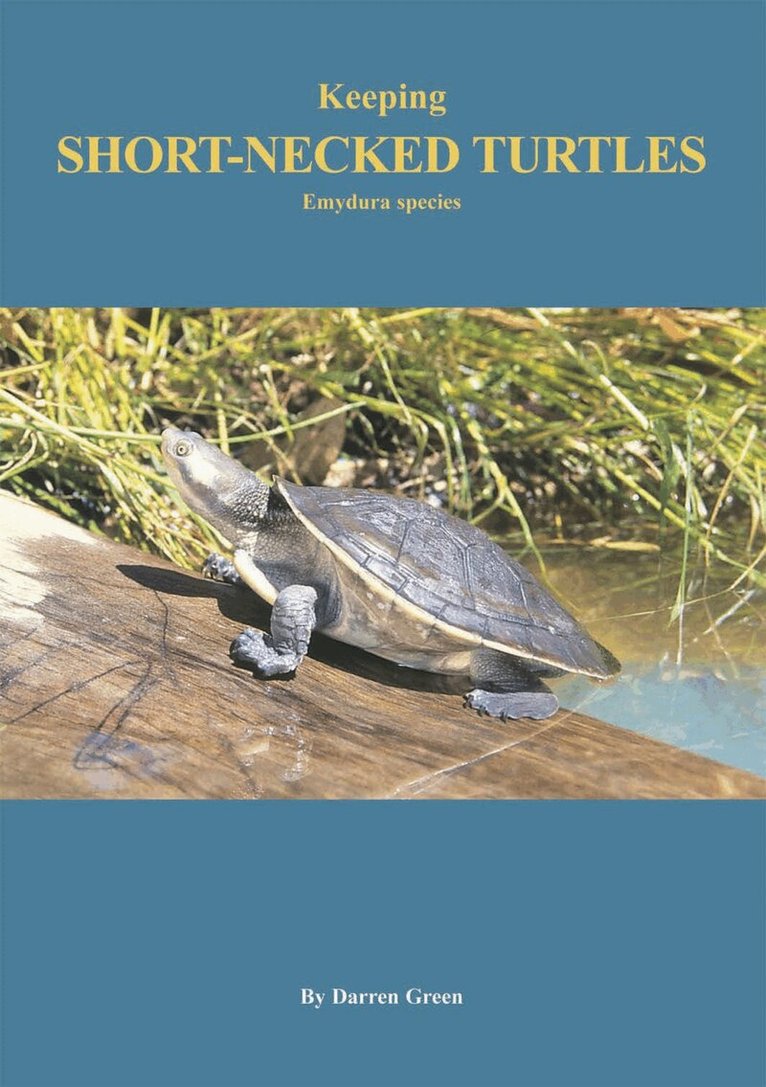 Darren Green - Keeping Short-necked Turtles Emydura species, E-bok