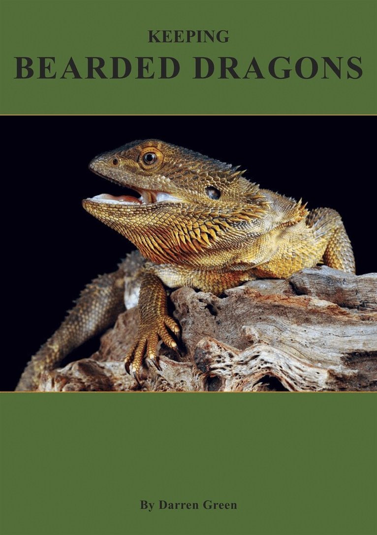 Darren Green - Keeping Bearded Dragons, E-bok