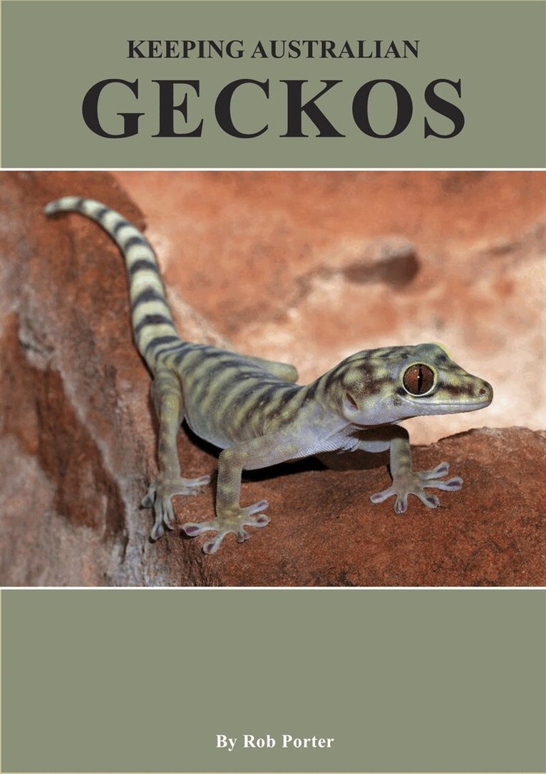 Rob Porter - Keeping Australian Geckos, E-bok