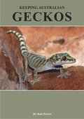 Keeping Australian Geckos