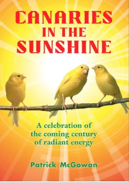 Patrick McGowan - Canaries in the Sunshine, E-bok. Tillgänglighet: Lägg i varukorg