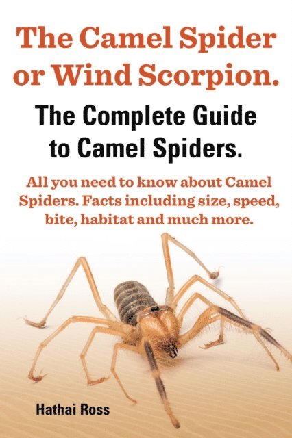 Hathai Ross - Camel Spider or Wind Scorpion. The Complete Guide to Camel Spiders. All You Need to Know About Camel Spiders. Facts Including Size, Speed, Bite and Habitat., E-bok