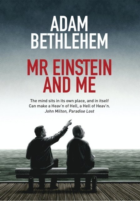 Adam Bethlehem - Mr Einstein & Me, E-bok