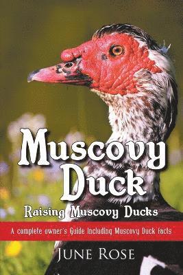 June Rose - Muscovy Duck, Häftad. Tillgänglighet: Tillfälligt slut