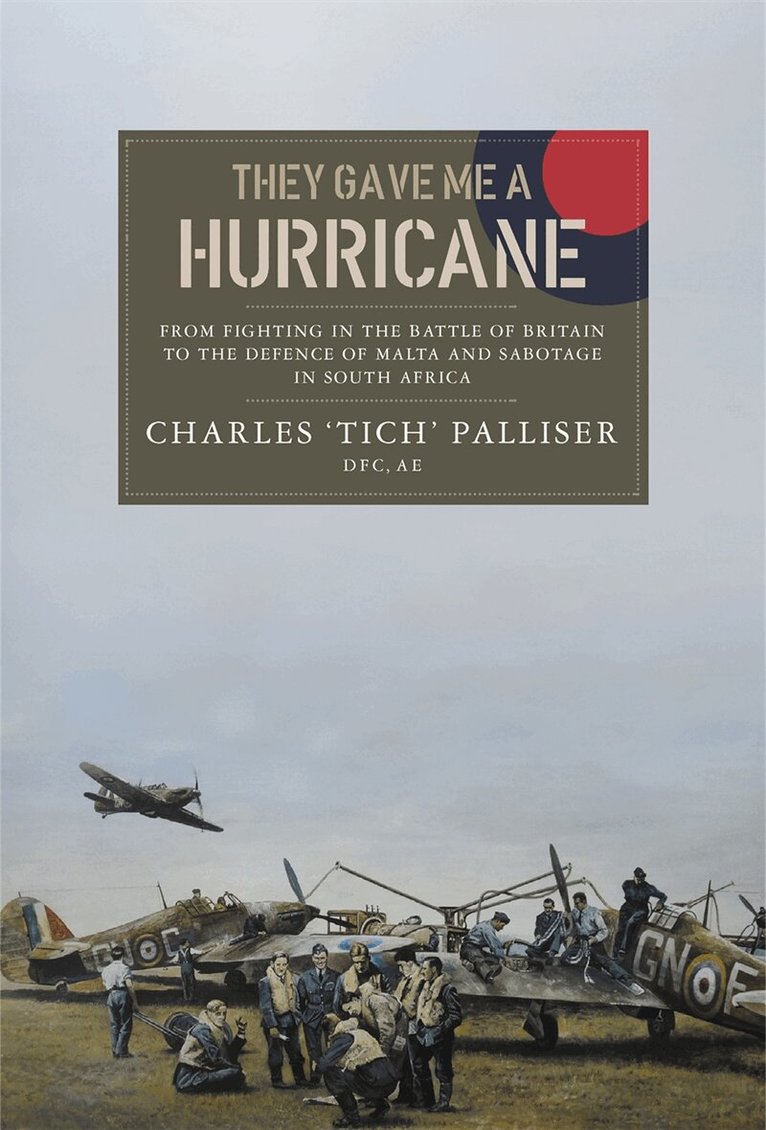 Charles Palliser - They Gave Me a Hurricane, E-bok