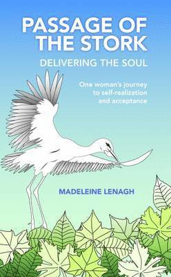 Madeleine Lenagh - Passage of the Stork: Delivering the Soul, Häftad
