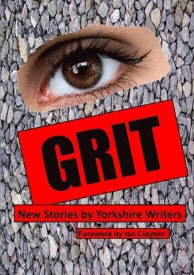Yorkshire Writers - Grit, Häftad