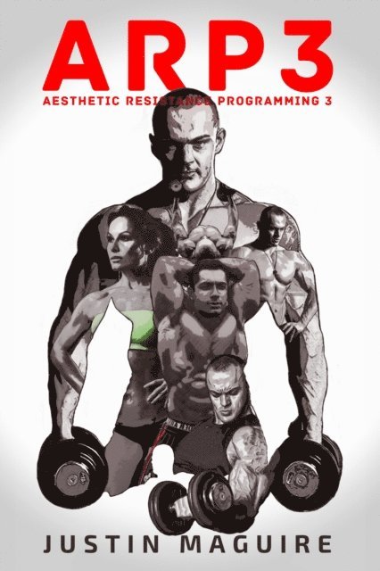Justin Maguire - Aesthetic Resistance Programming 3, E-bok