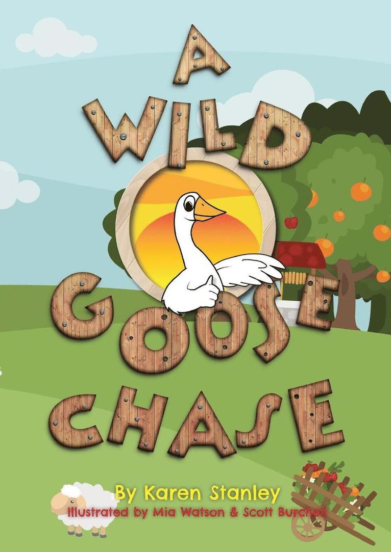 Karen Stanley - Wild Goose Chase, Häftad