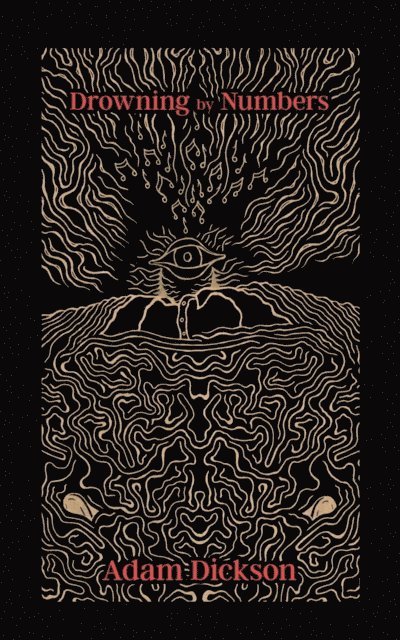 Adam Dickson - Drowning By Numbers, E-bok