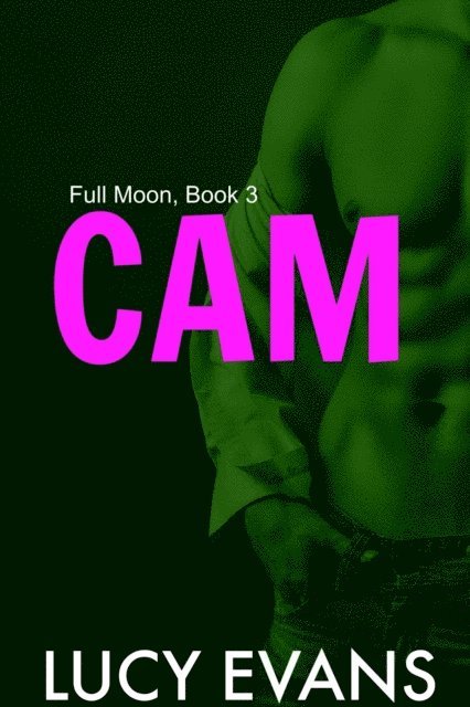Lucy Evans - Cam, E-bok