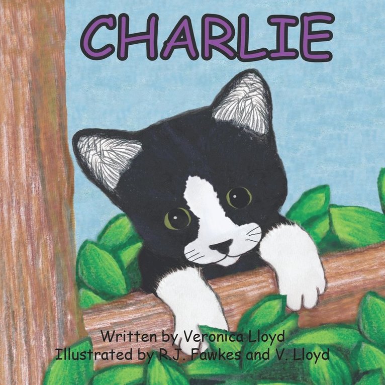 Veronica M Lloyd - Charlie, Häftad