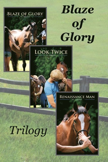 M. Garzon - Blaze of Glory Trilogy Boxset, E-bok. Tillgänglighet: Lägg i varukorg