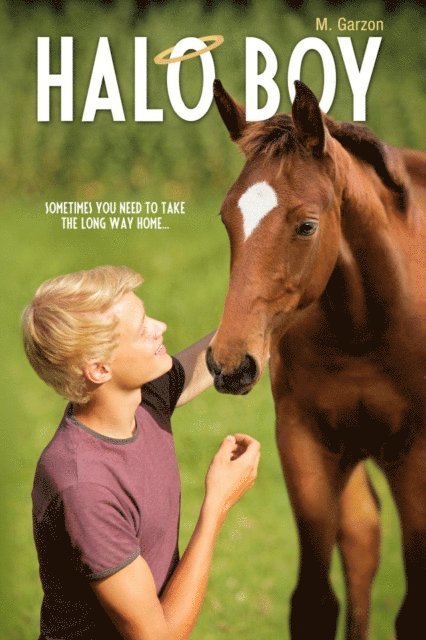 M. Garzon - Halo Boy, E-bok. Tillgänglighet: Lägg i varukorg