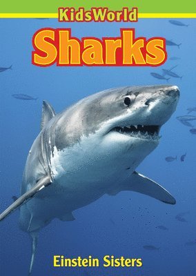 Erin Einstein - Sharks, Häftad