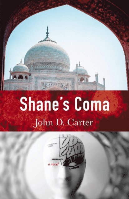 John D Carter - Shane's Coma, E-bok