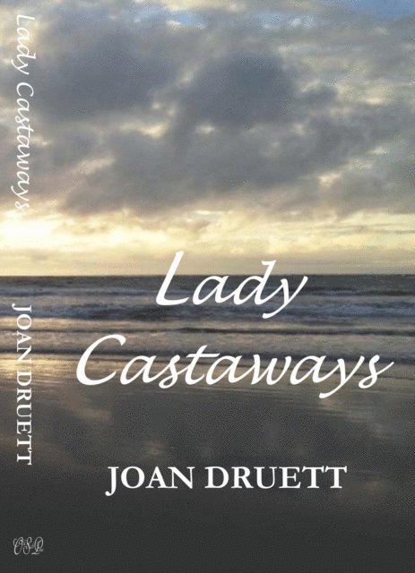 JOAN DRUETT - Lady Castaways, E-bok