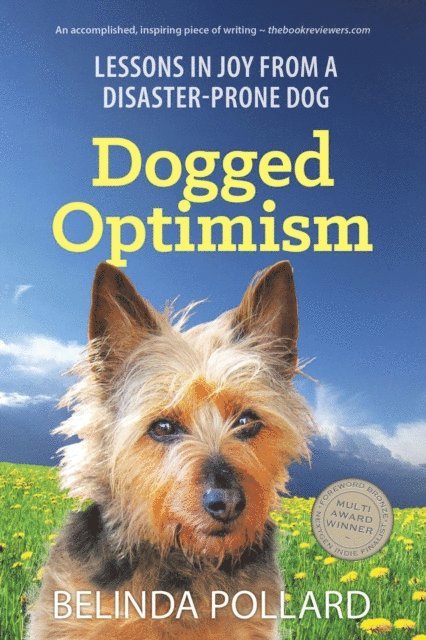 Belinda Pollard - Dogged Optimism: Lessons in Joy from a Disaster-Prone Dog, E-bok. Tillgänglighet: Lägg i varukorg