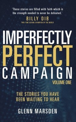 Imperfectly Perfect Campaign, Inbunden