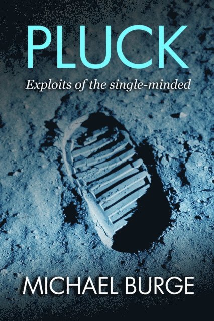Michael Burge - Pluck, E-bok
