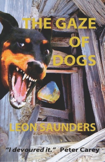 Leon Saunders - Gaze of  Dogs, E-bok