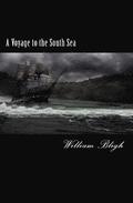 A Voyage to the South Sea