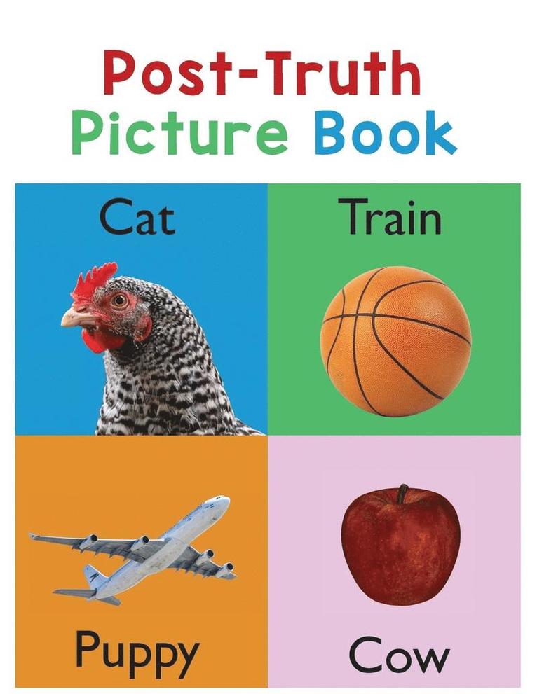 Donna J Roberts - Post-Truth Picture Book, Häftad