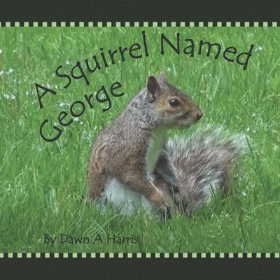 Dawn A Harris - Squirrel Named George, Häftad. Tillgänglighet: Lägg i varukorg