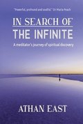 In Search of The Infinite: A meditator's journey of spiritual discovery