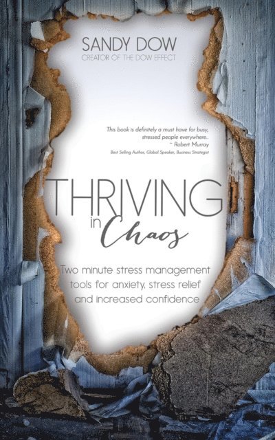 Sandy Dow - Thriving in Chaos, E-bok. Tillgänglighet: Lägg i varukorg
