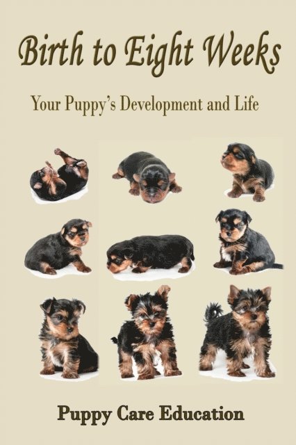 Birth to Eight Weeks: Your Puppy's Development and Life