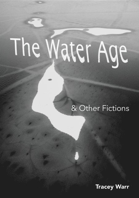 Tracey Warr - Water Age & Other Fictions, E-bok