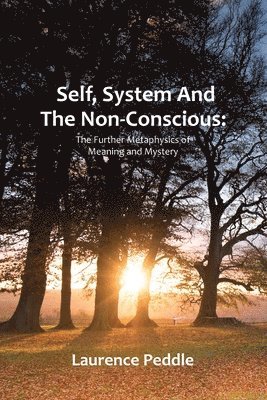 Laurence Peddle - Self, System and the Non-Conscious, Häftad. Tillgänglighet: Lägg i varukorg