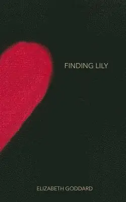 Elizabeth Goddard - Finding Lily, Häftad. Tillgänglighet: Lägg i varukorg