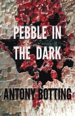 Pebble in the Dark
