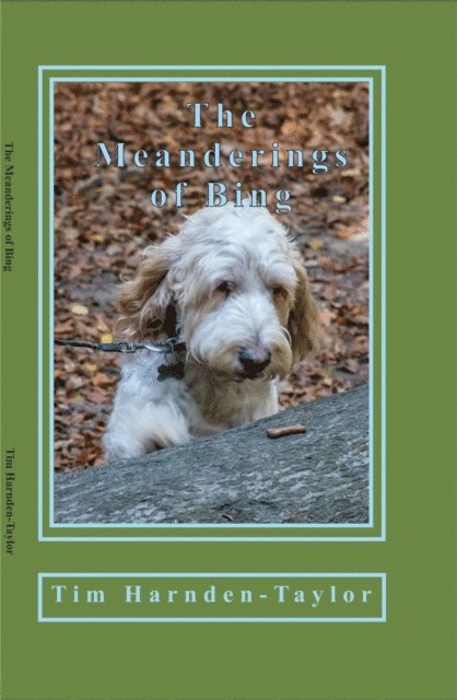 Tim Harnden Taylor - Meanderings of Bing, E-bok