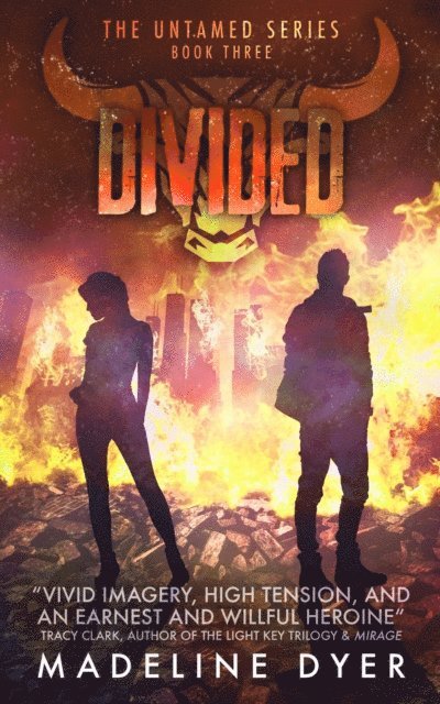 Madeline Dyer - Divided, E-bok