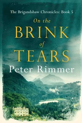 Peter Rimmer - On the Brink of Tears, Häftad