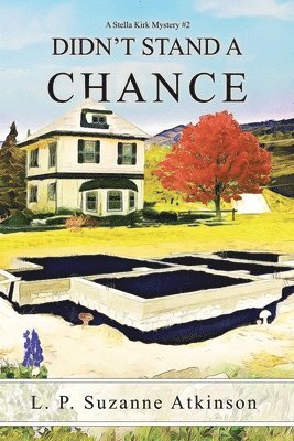 L P Suzanne Atkinson - Didn't Stand a Chance, Häftad. Tillgänglighet: Lägg i varukorg