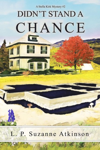 L. P. Suzanne Atkinson - Didn't Stand a Chance, E-bok. Tillgänglighet: Lägg i varukorg
