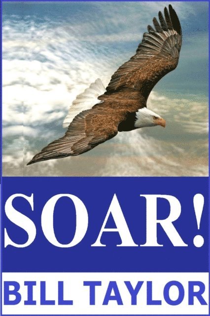 Bill Taylor - Soar!, E-bok