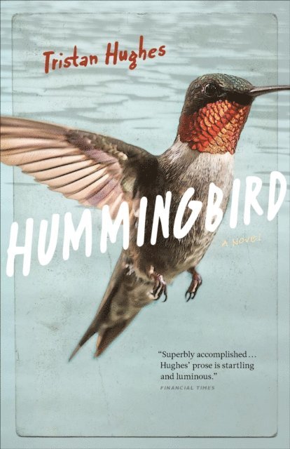 Tristan Hughes - Hummingbird: A Novel, E-bok