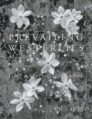 Ed Lavino - Prevailing Westerlies, Häftad