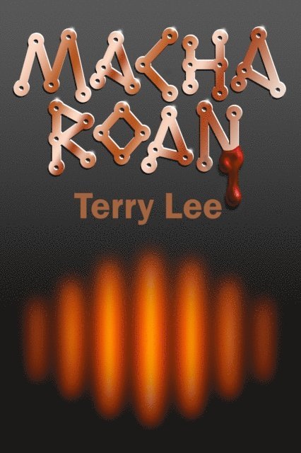Terry Lee - Macha Roan, E-bok