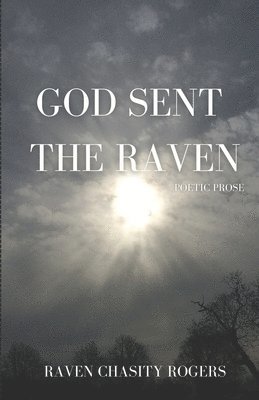 Raven Chasity Rogers, Cynthia M Portalatin - God Sent The Raven, Häftad. Tillgänglighet: Lägg i varukorg