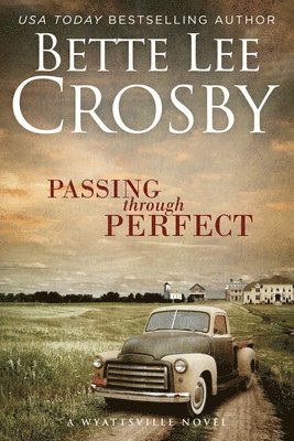 Bette Lee Crosby - Passing through Perfect, Häftad